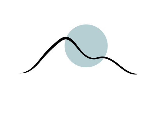 Formation Eco-formation-conception-de site-Internet-sur WordPress