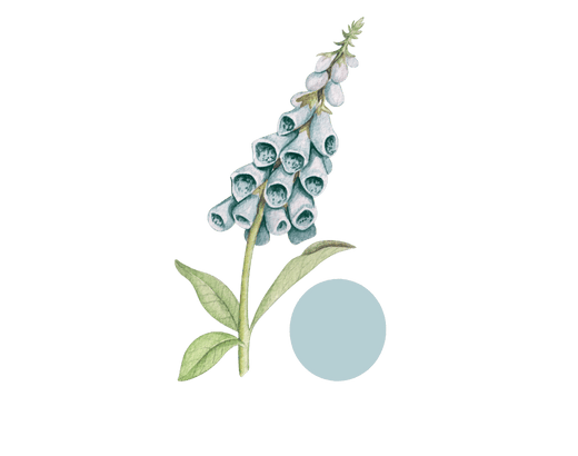fleur digitale atelier bleu ciel